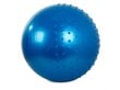 Võimlemispall, 55 cm, sinine hind ja info | Võimlemispallid | hansapost.ee