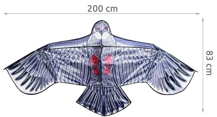 Tuulelohe Kotkas 50cm hind ja info | Tuulelohed ja tarvikud | hansapost.ee