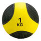Jõutreeningpall Tunturi 1 kg, kollane/must цена и информация | Topispallid | hansapost.ee