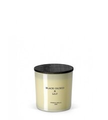 Lõhnaküünal Cereria Molla Black Orchid & Lilly, 600 g price and information | Candles, candlesticks | hansapost.ee