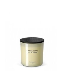 Ароматическая свеча Cereria Molla Bergamotto di Calabria, XL, 80ч цена и информация | Подсвечники, свечи | hansapost.ee