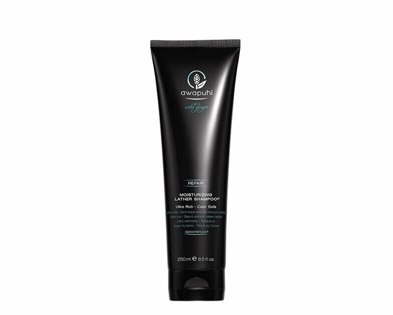 Juuksešampoon kuivadele juustele Paul Mitchell Awapuhi Wild Ginger, 250 ml hind ja info | Šampoonid | hansapost.ee