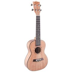 V-TONE UK23 kontsert ukulele + kott hind ja info | Kitarrid | hansapost.ee