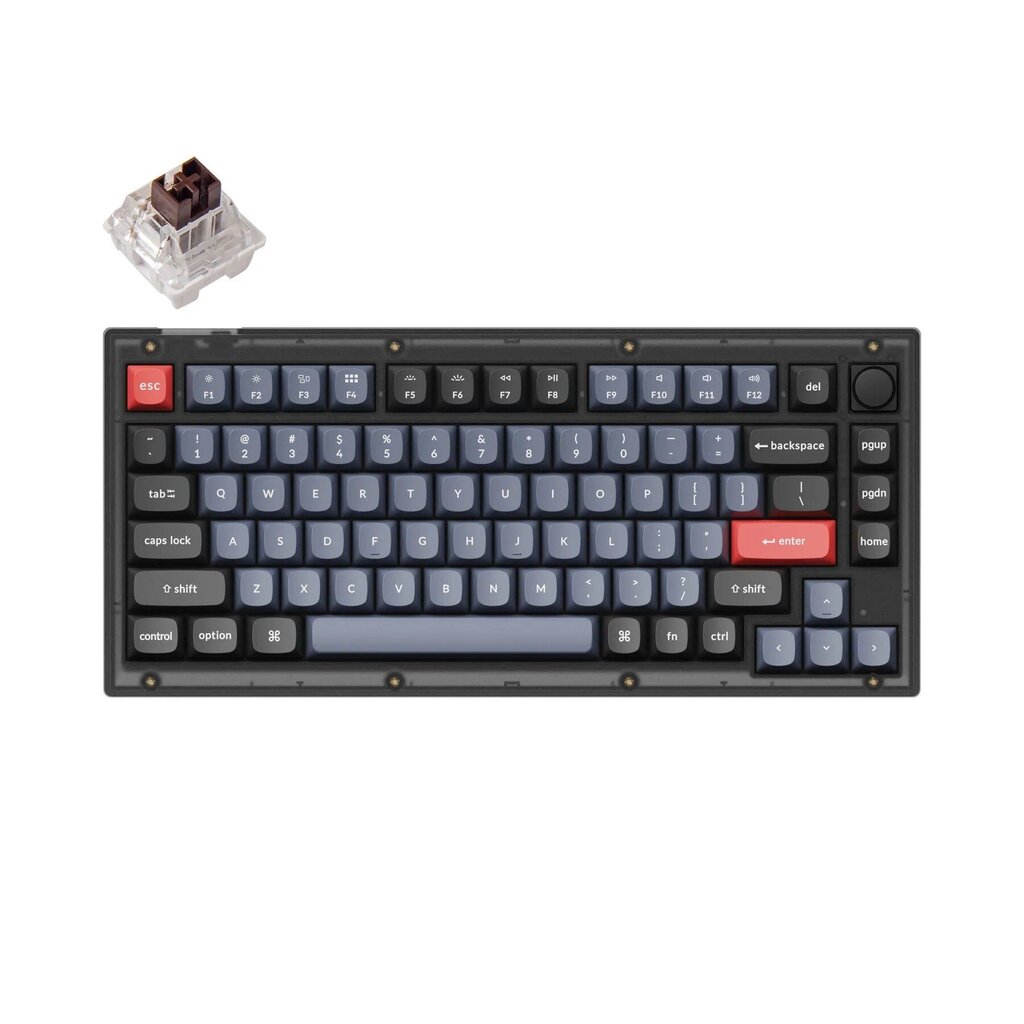 Keychron V3 80% Mehaaniline klaviatuur (ANSI, Frosted Black, RGB, Hot-swap, US, Pro Brown Switch) цена и информация | Klaviatuurid | hansapost.ee