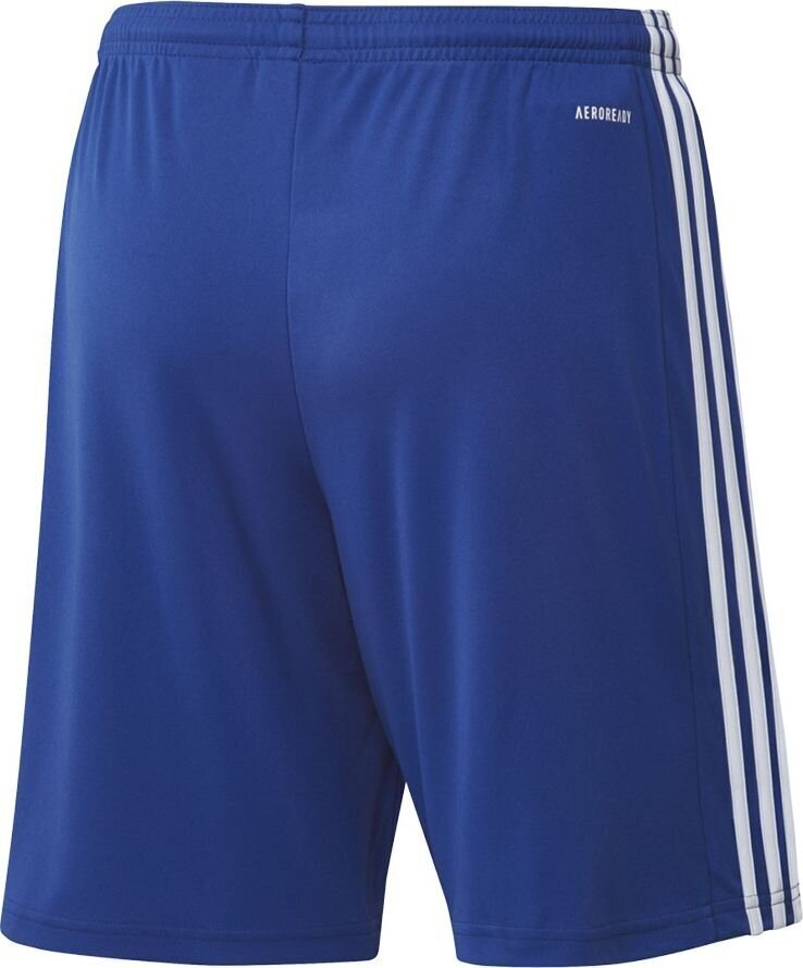 Meeste lühikesed püksid Adidas Squadra 21 GK9153, sinine hind ja info | Jalgpalli varustus ja riided | hansapost.ee