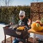 Söegrill GrillSymbol Naked Chef XS hind ja info | Grillid | hansapost.ee