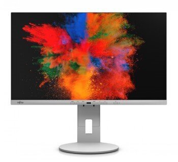 Fujitsu P24-10 TE цена и информация | Monitorid | hansapost.ee