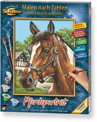 Maalimine numbrite järgi Schipper KIDS Horse Portrait MNZ, 24 x 30 cm hind ja info | Maalimiskomplektid numbrite järgi | hansapost.ee