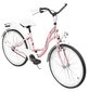 Laste jalgratas AZIMUT Julie 24" 2021, roosa цена и информация | Jalgrattad | hansapost.ee