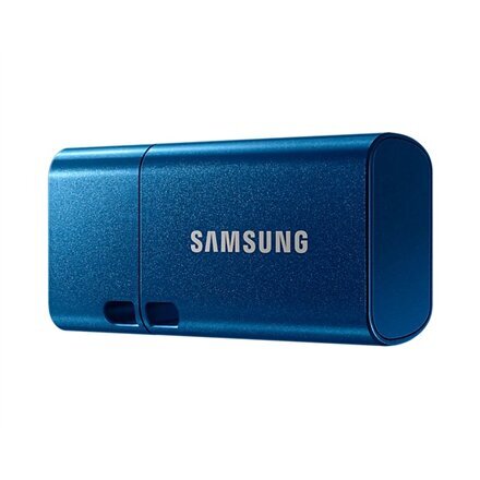 Samsung FlashDrive 256GB USB 3.2 цена и информация | Mälupulgad | hansapost.ee