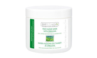 Bielenda Professional Face Algae Mask With Spirulina näomask naistele 190 g цена и информация | Маски для лица, патчи для глаз | hansapost.ee