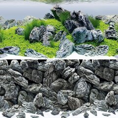 Juwel Aquarium Aquascape/Stone Poster 4 L100X50CM ART. Нр. 86249 цена и информация | Аквариумы и оборудование | hansapost.ee