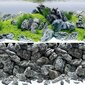 Juwel Aquarium Aquascape/Stone plakat 4 L100x50cm Art. Nr. 86249 цена и информация | Akvaariumid ja lisatarvikud | hansapost.ee