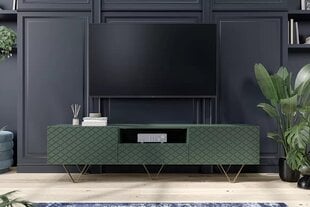 ТВ столик Bogart Scalia 2K1SZ, зеленый цена и информация |  Тумбы под телевизор | hansapost.ee
