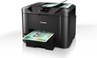 Printer Canon 0971C009AA цена и информация | Printerid | hansapost.ee