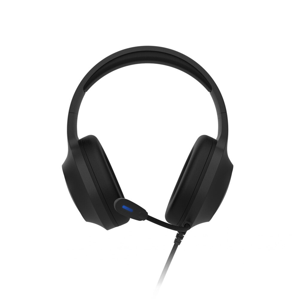 Kõrvaklapid Zalman ZM-HPS310 BK цена и информация | Kõrvaklapid | hansapost.ee