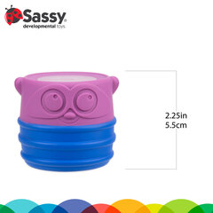 Magnetilised kujud Sassy hind ja info | Beebide mänguasjad | hansapost.ee