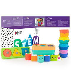 Комплект Sassy Stem, 12 ч. цена и информация | Игрушки для малышей | hansapost.ee