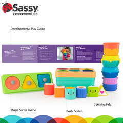 Комплект Sassy Stem, 12 ч. цена и информация | Игрушки для малышей | hansapost.ee