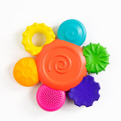 Погремушка Sassy Цветок цена и информация | Игрушки для малышей | hansapost.ee