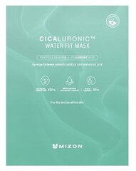 Увлажняющая маска для лица с гиалуроновой кислотой Mizon Cicaluronic, 24 г цена и информация | Маски для лица, патчи для глаз | hansapost.ee