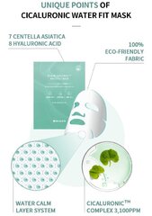 Niisutav näomask hüaluroonhappega Cicaluronic 24 g price and information | Face masks and eye masks | hansapost.ee