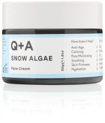 Q + A Intensiivne näokreem Snow Algae, 50g цена и информация | Кремы для лица | hansapost.ee