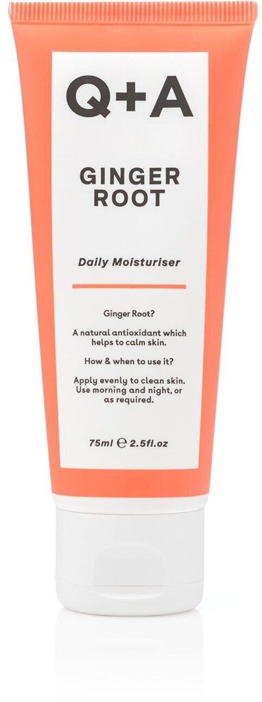 Niisutav nahka ingverikreem (Daily Moisturizer) 75 ml цена и информация | Näokreemid | hansapost.ee