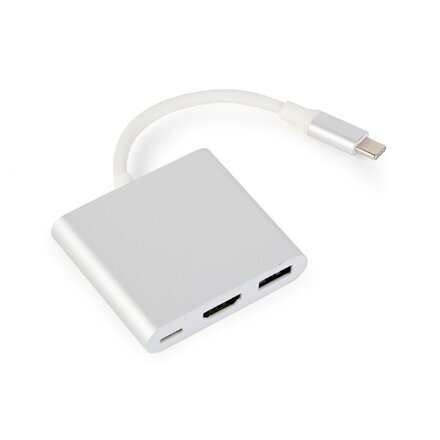 Cablexpert A-CM-HDMIF-02-SV цена и информация | USB adapterid ja jagajad | hansapost.ee
