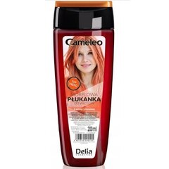Тонизирующая жидкость для волос Delia Cameleo, Apricot , 200 мл цена и информация | Бальзамы | hansapost.ee