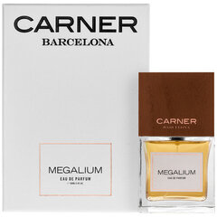 Custo Barcelona Megalium EDP 100ml hind ja info | Parfüümid naistele | hansapost.ee