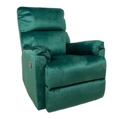 Кресло Home4you Gustav, зеленое цена и информация | Кресла | hansapost.ee