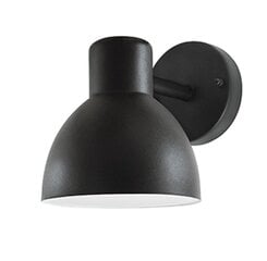 Настенный светильник Arne цена и информация | Настенные светильники | hansapost.ee