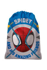 спортивная сумка с изображением Человека-паука цена и информация | Школьные рюкзаки, спортивные сумки | hansapost.ee
