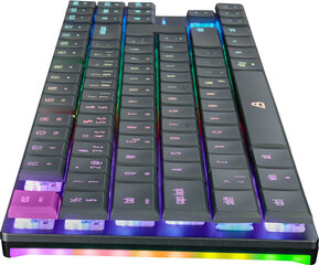 Blackstorm Flatline RGB TKL Dual Mode цена и информация | Клавиатура с игровой мышью 3GO COMBODRILEW2 USB ES | hansapost.ee