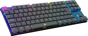 Blackstorm Flatline RGB TKL Dual Mode цена и информация | Клавиатура с игровой мышью 3GO COMBODRILEW2 USB ES | hansapost.ee