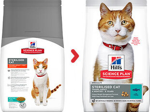 Hill's Science Plan Young Adult Sterilised Cat tuunikalaga, 3kg hind ja info | Hill's Kassid | hansapost.ee