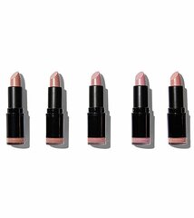 Makeup Revolution Matte Nude Lipstick Collection (5 pcs) - Set of five lipsticks 3.2g цена и информация | Помады, бальзамы, блеск для губ | hansapost.ee