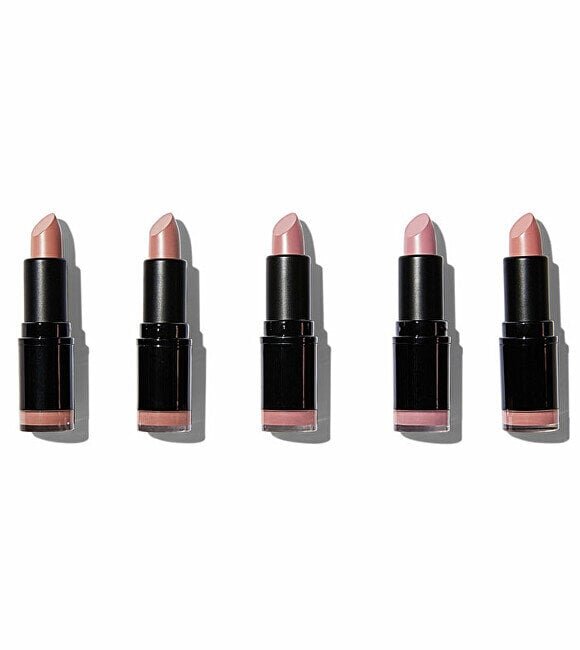 Makeup Revolution Matte Nude Lipstick Collection (5 pcs) - Set of five lipsticks 3.2g hind ja info | Huulekosmeetika | hansapost.ee