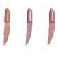 Makeup Revolution Matte Nude Lipstick Collection (5 pcs) - Set of five lipsticks 3.2g цена и информация | Huulekosmeetika | hansapost.ee