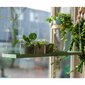 Esschert Design pakabinamas padėklas augalams 2.1 cm цена и информация | Vaasid, alused ja taimeredelid | hansapost.ee