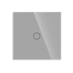 Сенсорный выключатель однополюсный, серый цвет 500 Вт цена и информация | Выключатели, розетки | hansapost.ee