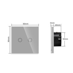 WiFi kahe ahela puutetundlik lüliti, hall 600W price and information | Sockets and switches | hansapost.ee