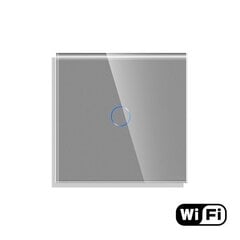 WiFi однополюсный сенсорный переключатель, серый 600 Вт; цена и информация | Выключатели, розетки | hansapost.ee