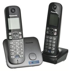 Panasonic KX-TG6812 PDM, серый цена и информация | Стационарные телефоны | hansapost.ee