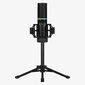Mikrofon Streamplify RGB mikrofon statiiviga, must цена и информация | Mikrofonid | hansapost.ee