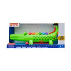 Muusikaline mänguasi Fisher Price Krokodill Ksülofon hind ja info | Beebide mänguasjad | hansapost.ee