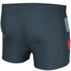 Lühikesed ujumispüksid Aqua Speed Sasha M 336, 44104 price and information | Swimming shorts | hansapost.ee