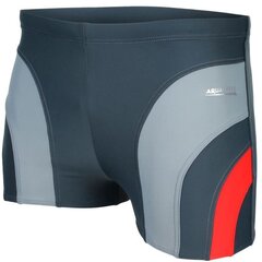 Lühikesed ujumispüksid Aqua Speed Sasha M 336, 44104 price and information | Swimming shorts | hansapost.ee