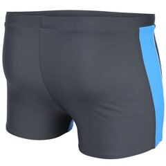 Lühikesed ujumispüksid Aqua Speed Jason M blue, 44097 price and information | Swimming shorts | hansapost.ee